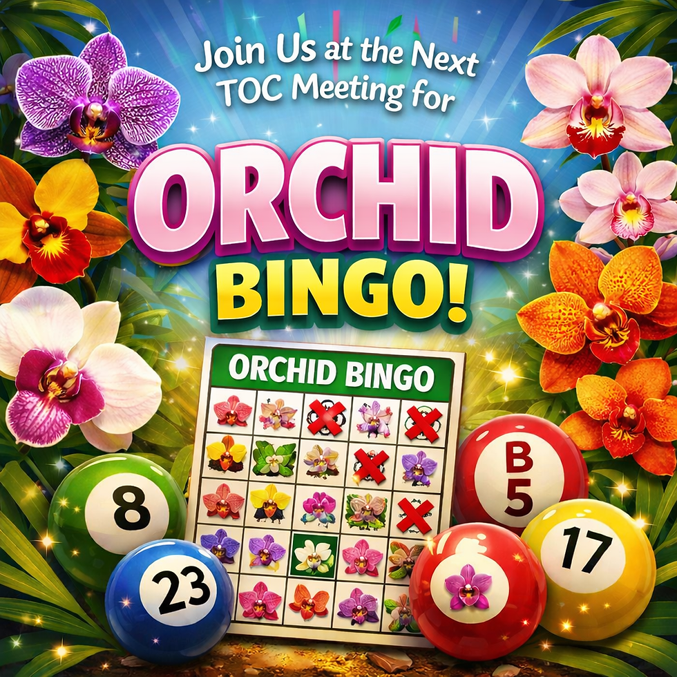 A colorful promotional image about Orchid Bingo with the Tampa Orchid Club