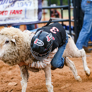 Mutton Bustin
