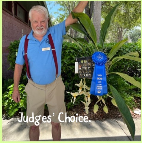 Darwin Breu showing off his June Bloom Table win for Judges' Choice at the June Tampa Orchid Club meeting