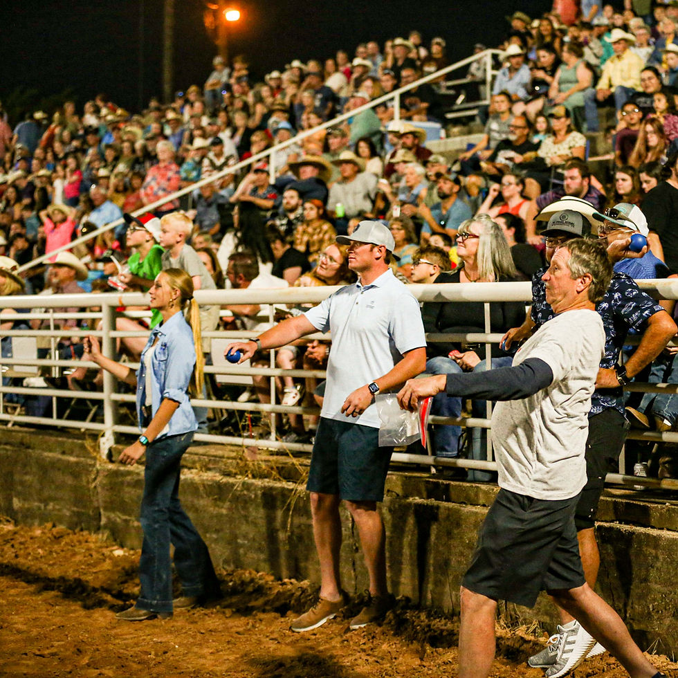 Thumbnail: Crowd Engagement Sponsor