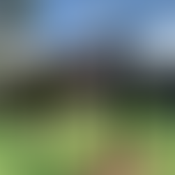 Custom built pergola for a home in Granbury