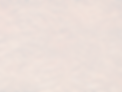 Tooled Leather - Paisley.png