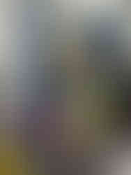 Kris Mason at a personal training session at Strength & Performance Institute in Clearwater lifting weights.