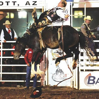Wes Stevenson on a bareback horse at a rodeo