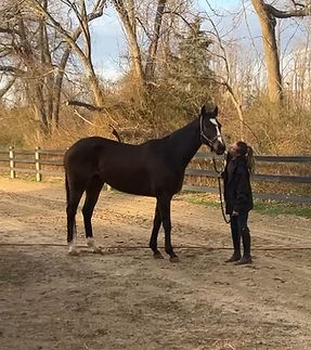 Autumn Fiordland with Jackson Man