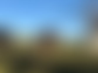 Why Sellers Shouldn’t Get Mad When a Buyer Backs Out of a Horse Sale