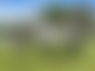 Why a Grain-Free Diet Can Benefit Your OTTB