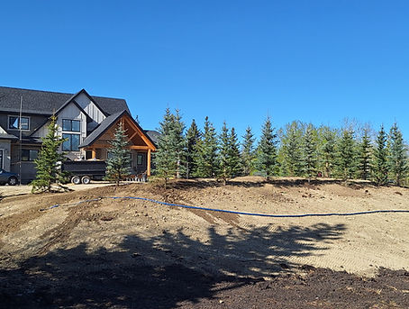 trees planted infront of house in bearspaw.jpg