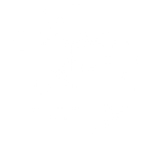 LOGO - WHITE HOLO.png