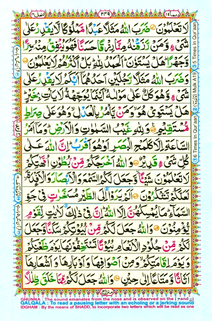Page0249.gif