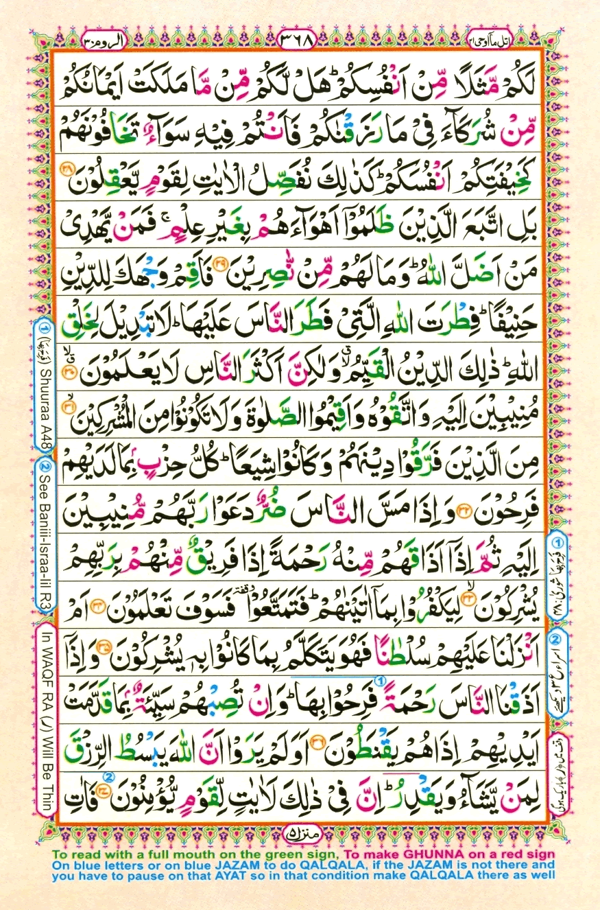 Page0368.gif
