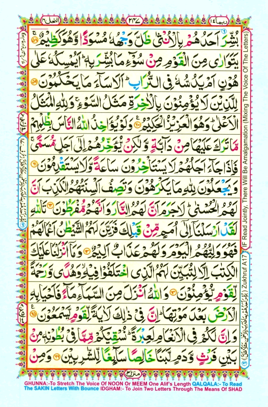 Page0247.gif
