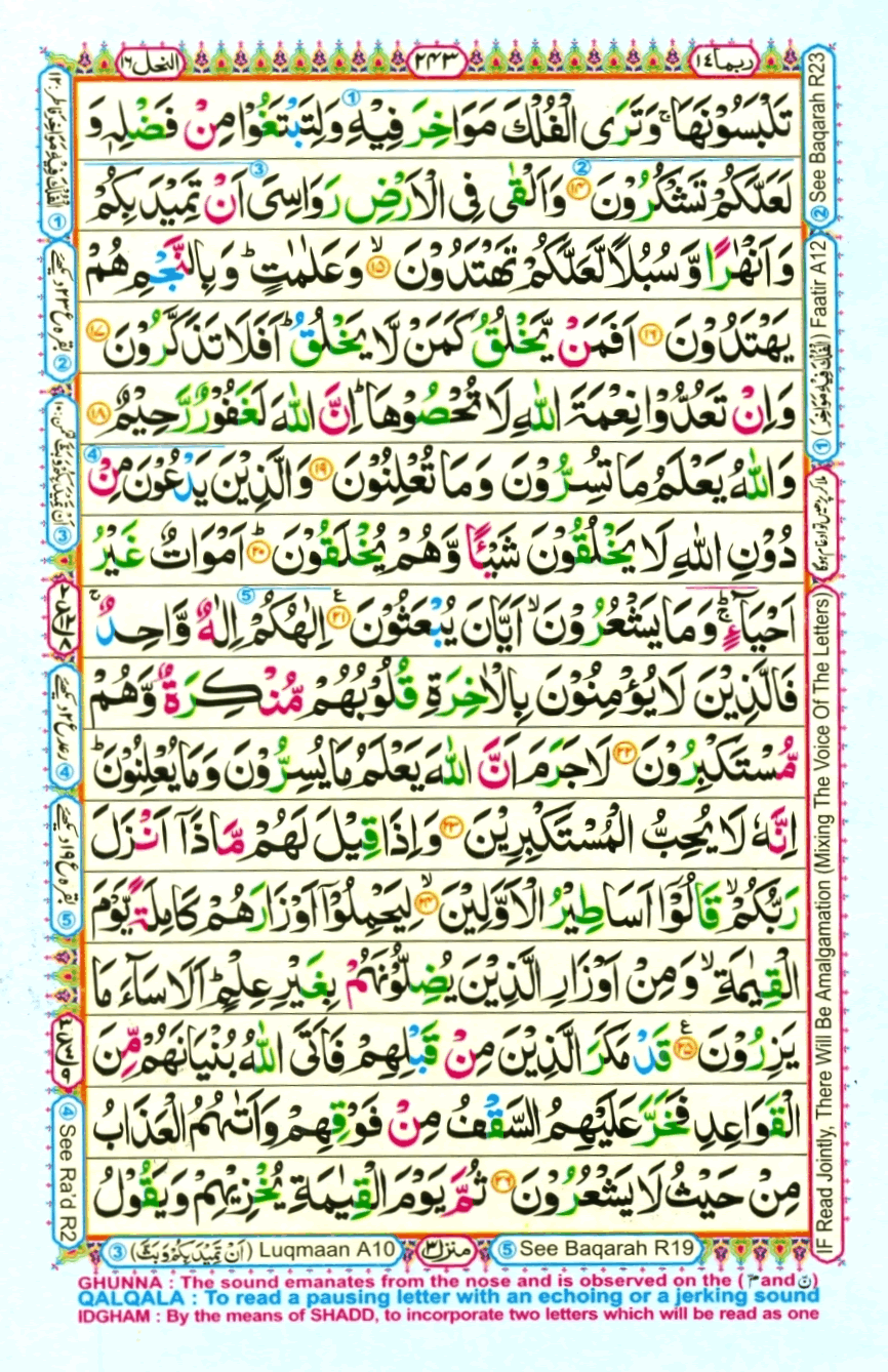 Page0243.gif
