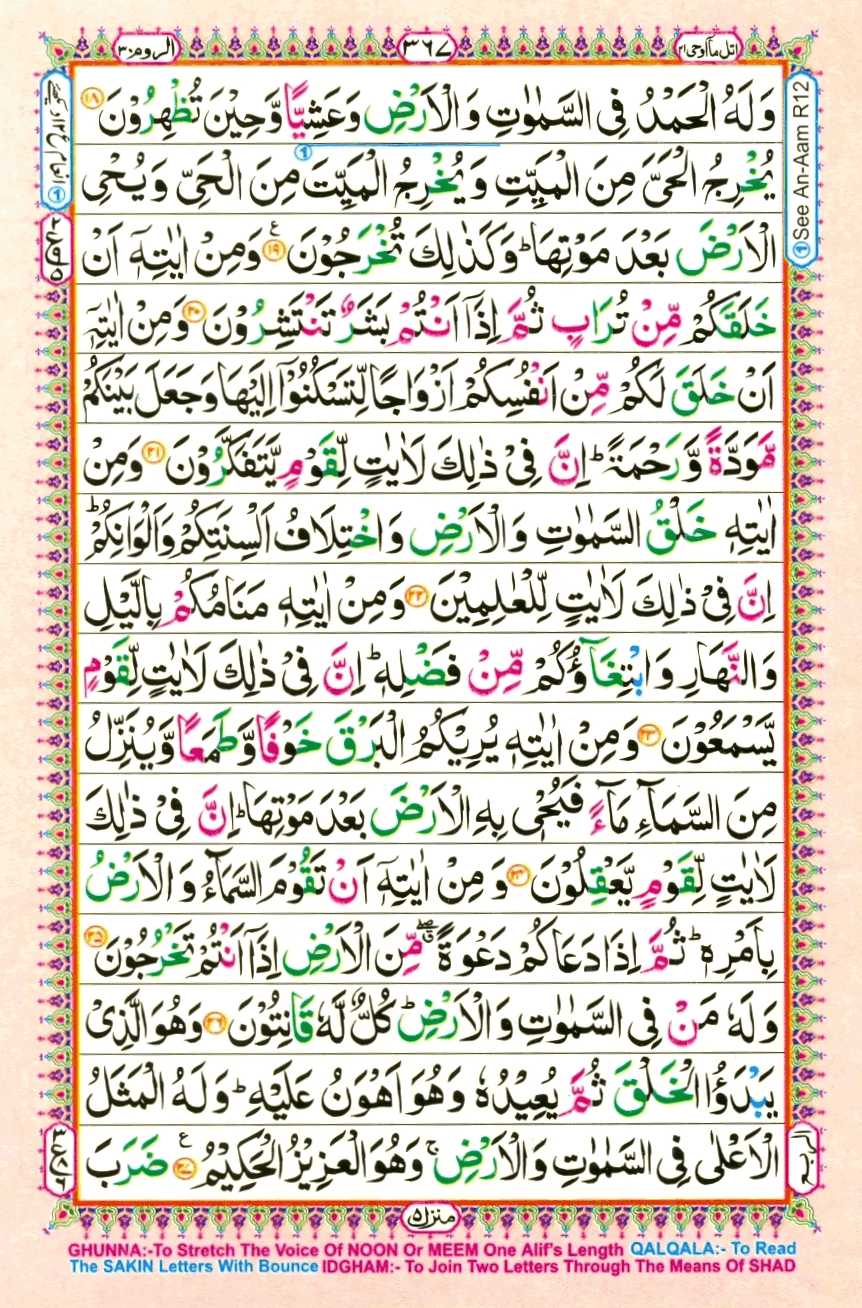 Page0367.gif