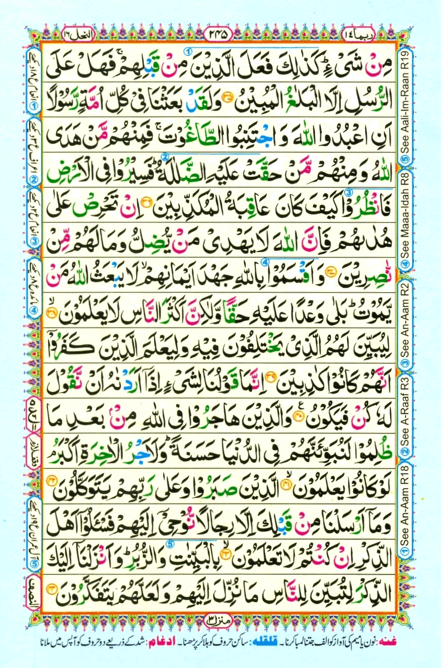 Page0245.gif