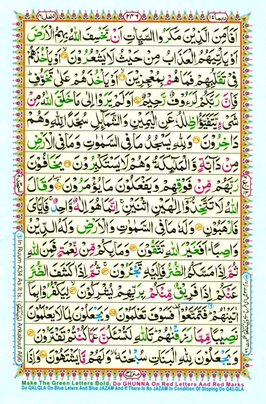 Page0246.gif