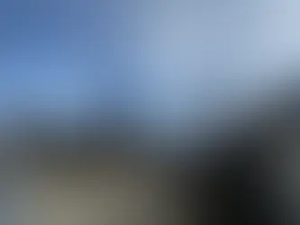 Professional roof inspection in Boise Idaho