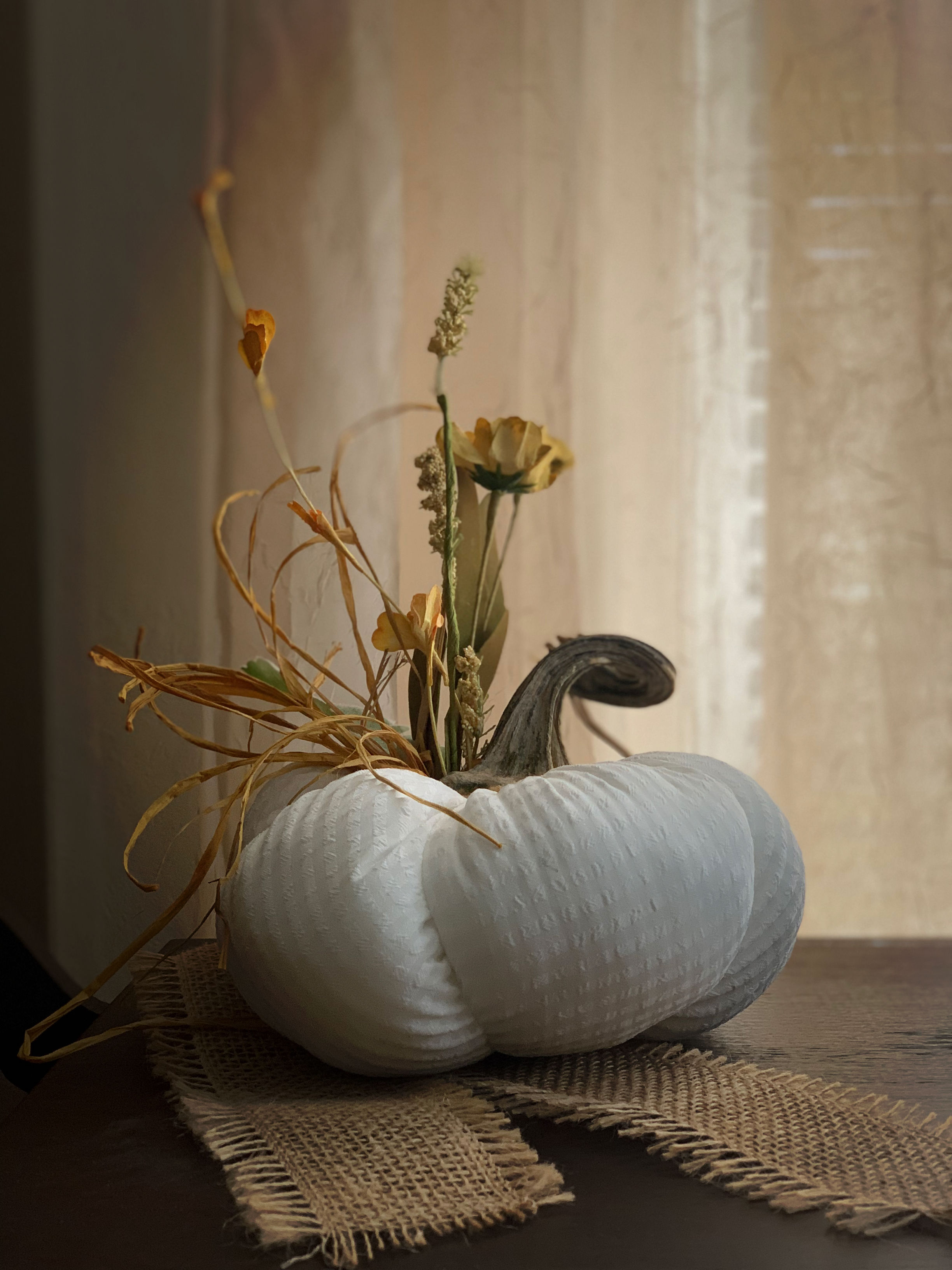 BLANCA  DAISIES  PUMPKIN