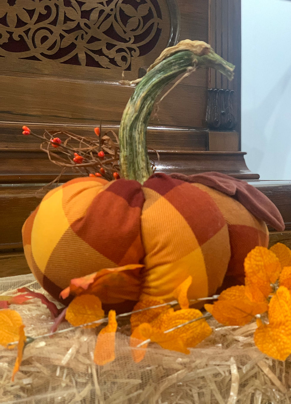 Thumbnail: GOLDEN FALL PLAID PUMPKIN