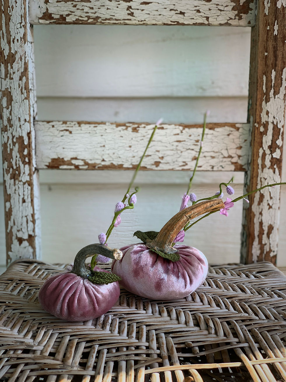 Thumbnail: SET  OF  2  MINI  PUMPKINS
