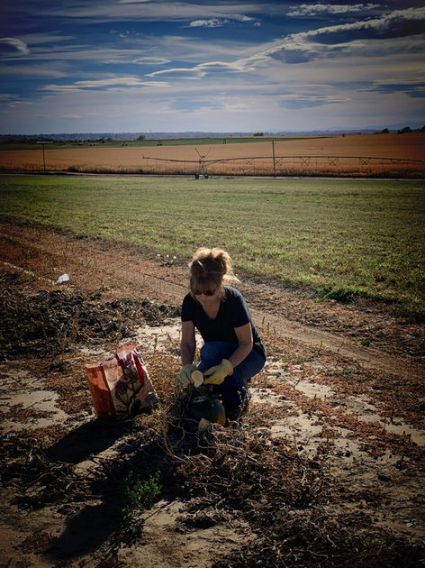 Woman planting tree in rural field
