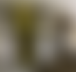 5 Reasons You Should Have Hair Extensions