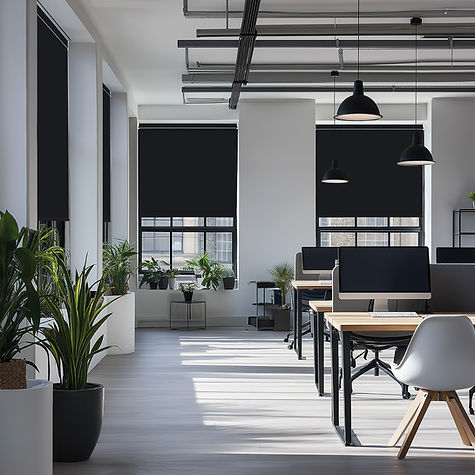 LL_Roller_Ex Lite_Black_Office_Web.jpg