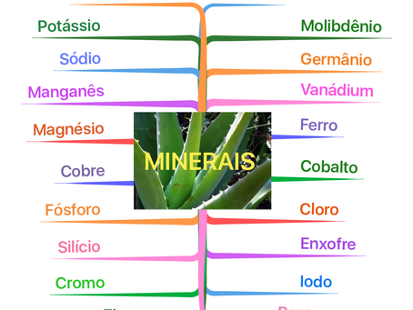 ALOE E OS MINERAIS