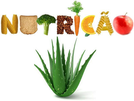 Nutrição - parte 1