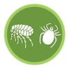 bugs1.png