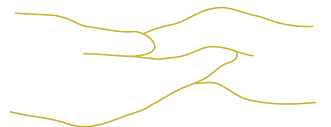 Das Logo und wie es entstanden ist