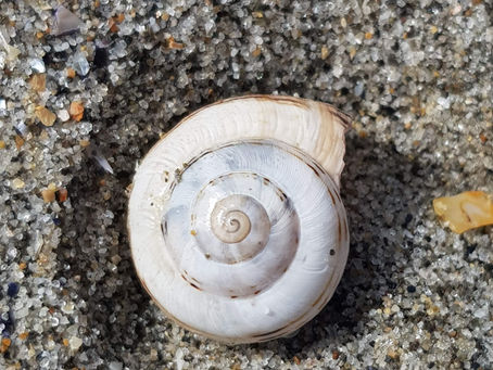 La pensée du jour...