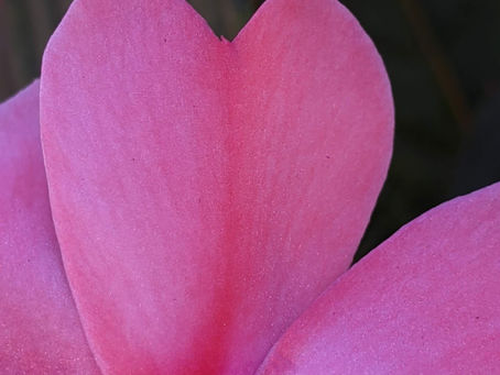 Quand douceur rime avec bonheur...