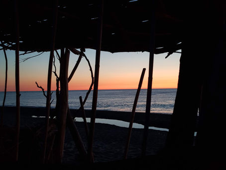 La pensée du jour...