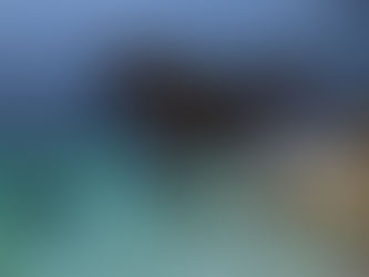 La pensée du jour...