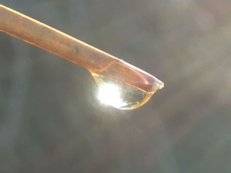 La pensée du jour...