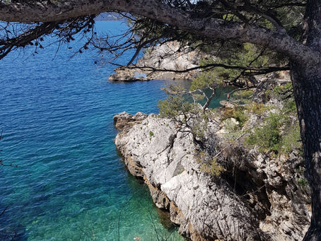 La pensée du jour...