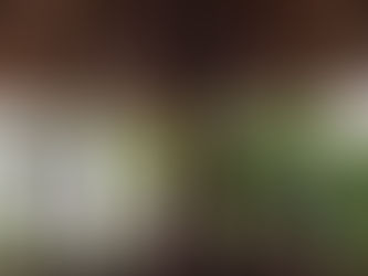 La pensée du jour...