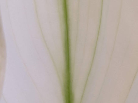 La pensée du jour...