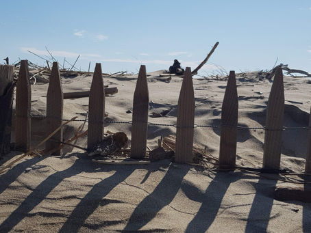 La pensée du jour...