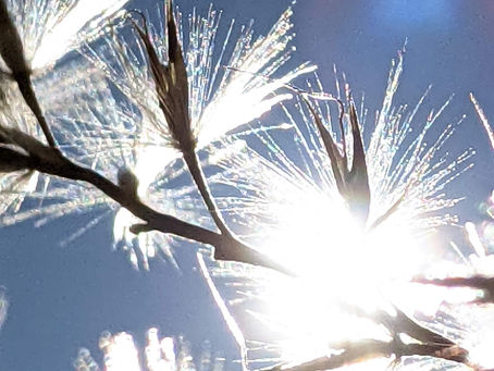 La pensée du jour...