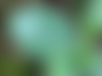 La pensée du jour...