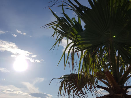 La pensée du jour...