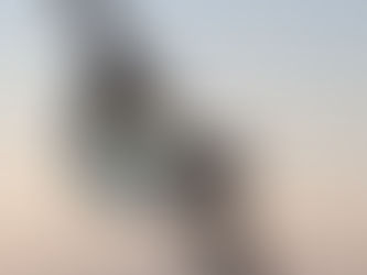 La pensée du jour...