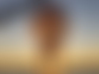 La pensée du jour...