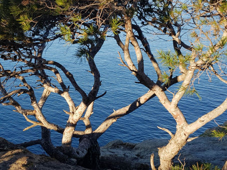 La pensée du jour...