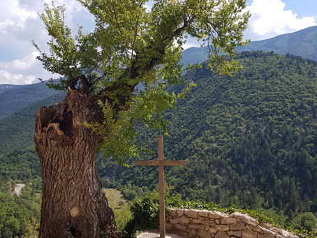 La pensée du jour...