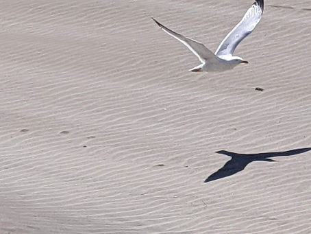 La pensée du jour...