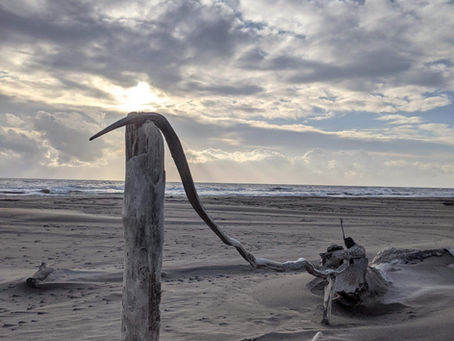 La pensée du jour...