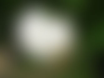 La pensée du jour...